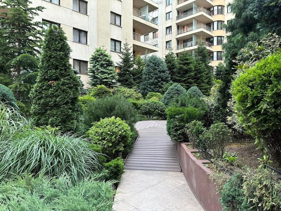 North Area Lake View Studio Bükreş Dış mekan fotoğraf